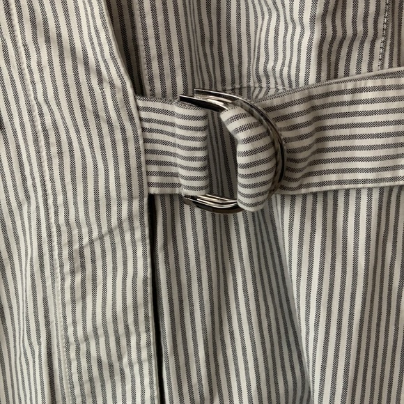 Everlane Oxford Stripe Belted Shirt Dress - Picture 9 of 14